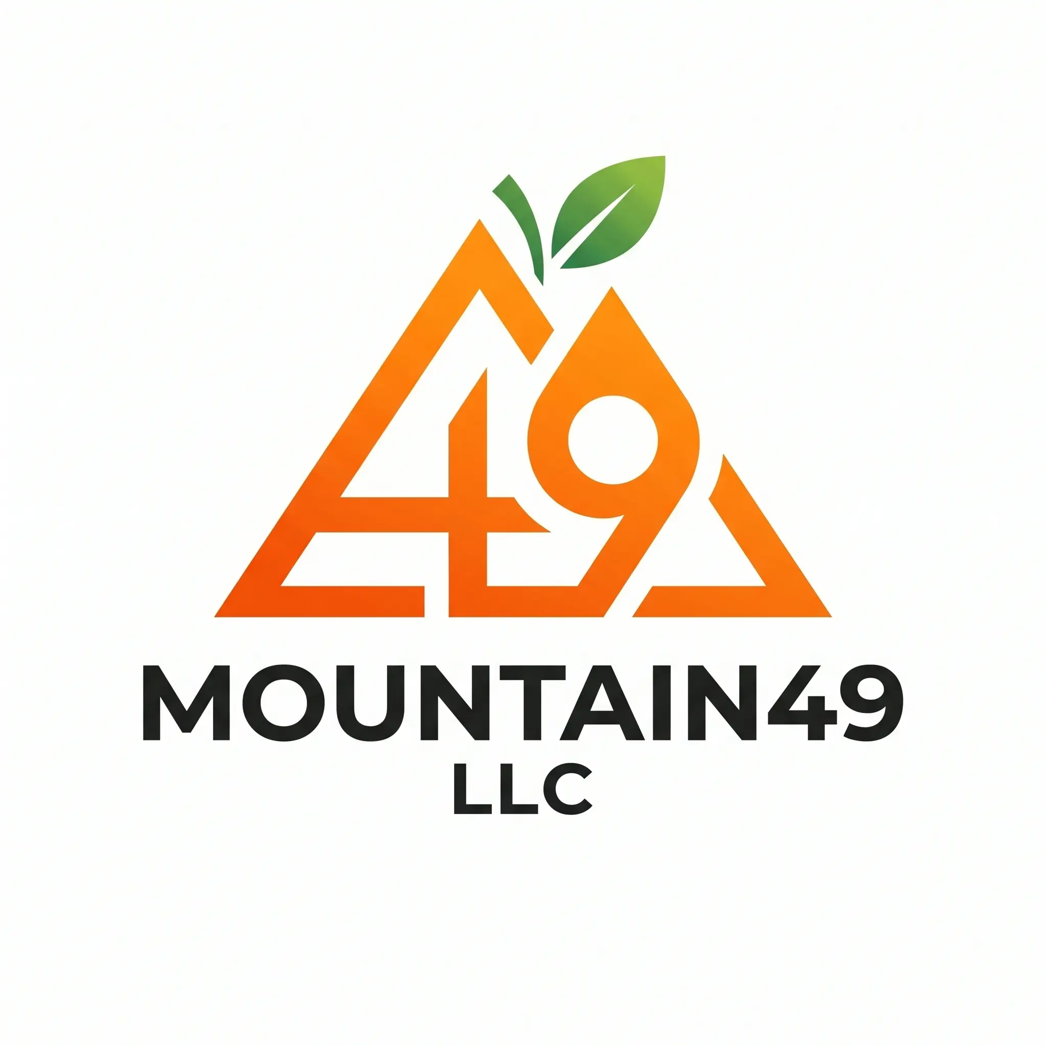 Mountain49 LLC Logo